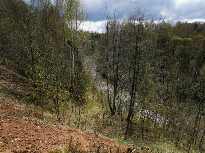 Salantų RP.jpg