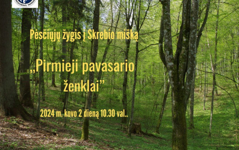 aUKŠTADVARIO.jpg