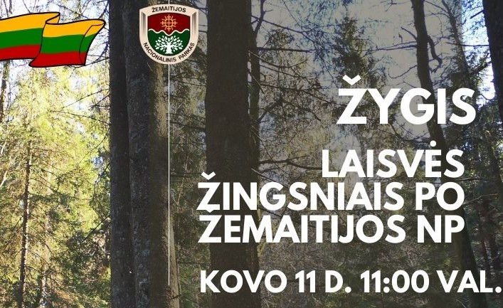 Kovo_11_dienos_zygis.jpg