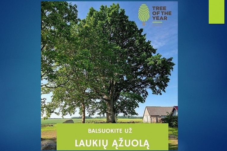 Arboristai.jpg