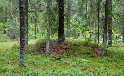 DSCF2757.jpg