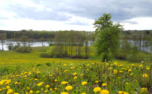20200507_171424.jpg