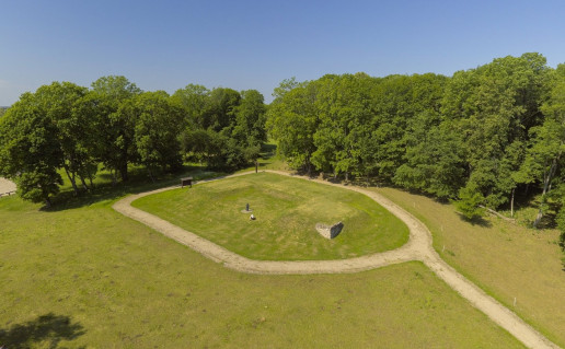 dji_0028.jpg