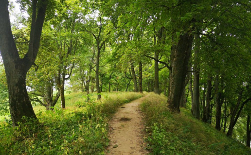 dubingiu-pazintinis-takas.jpg
