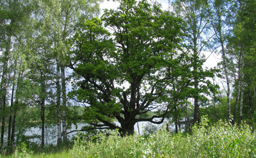 '08.05.28..jpg
