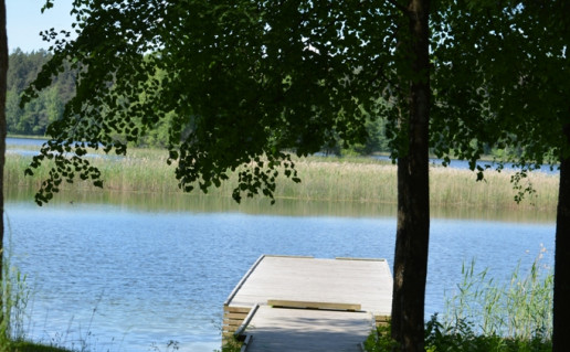 Purviniskiu 165.jpg