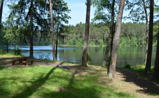 LeikstinioI 095.jpg