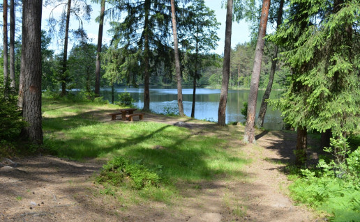 LeikstinioI 094.jpg