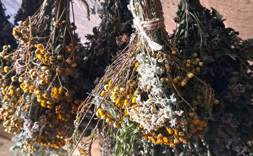 Aromatinesvantos-mix-scaled.jpg