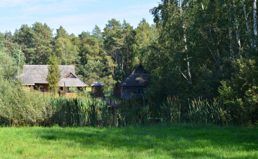 DSC_1596.JPG