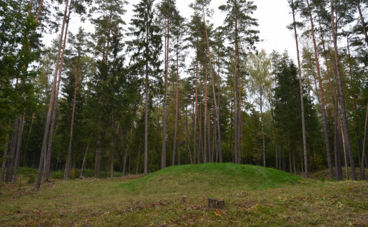 DSC_0041.JPG