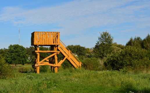 DSC_1598.JPG