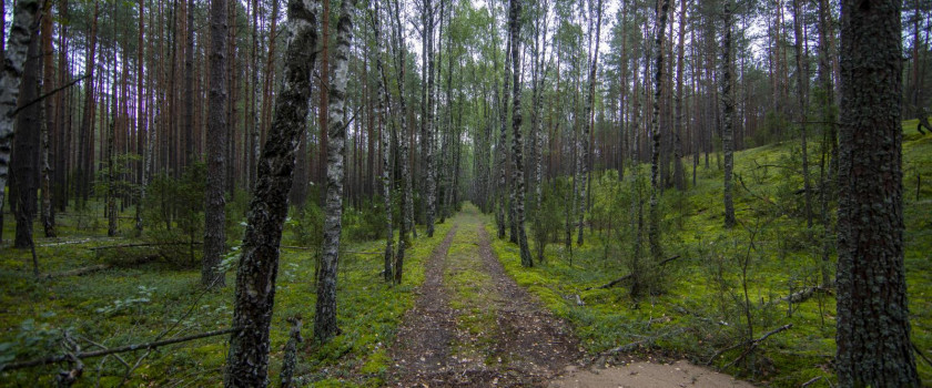 1-cepkeliu-gamtinis-rezervatas-5d70d93905f4d.jpg