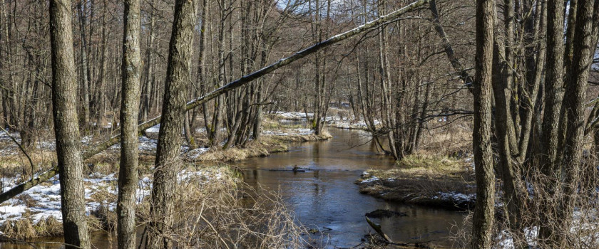 1-dieveniskiu-istorinis-regioninis-parkas-5c9de6b0eee04.jpg