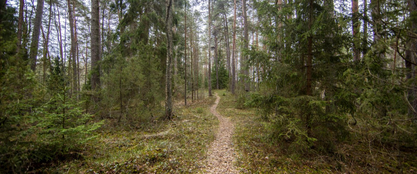 1-grazutes-regioninis-parkas-5c9384fc267e1.jpg