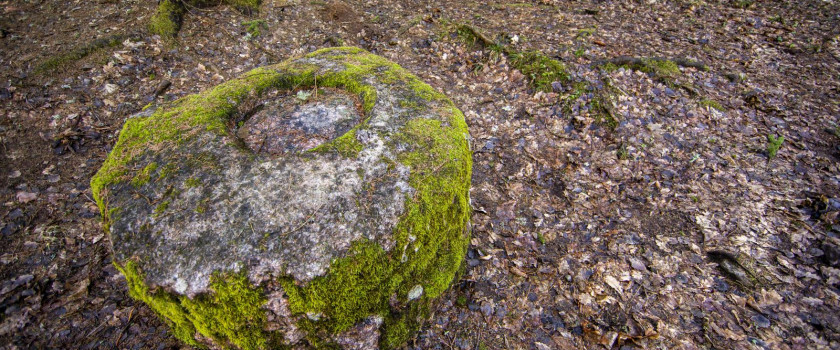 1-grazutes-regioninis-parkas-5c938812e5cfb.jpg