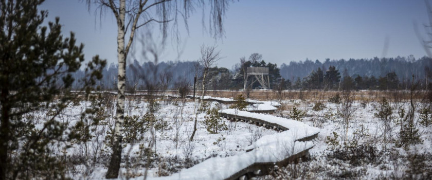 1-nemuno-deltos-regioninis-parkas-5c3de22c95c7c.jpg