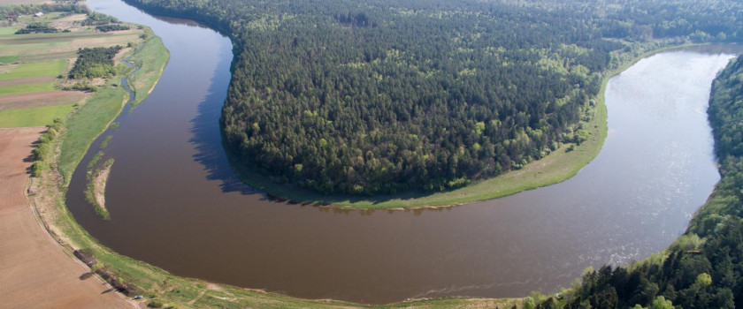 didziosios-nemuno-kilpos-5cc71c98706e7.jpg
