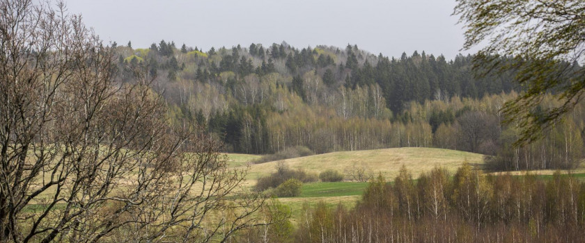 vistycio-regioninis-parkas-5cc09c09745b4.jpg